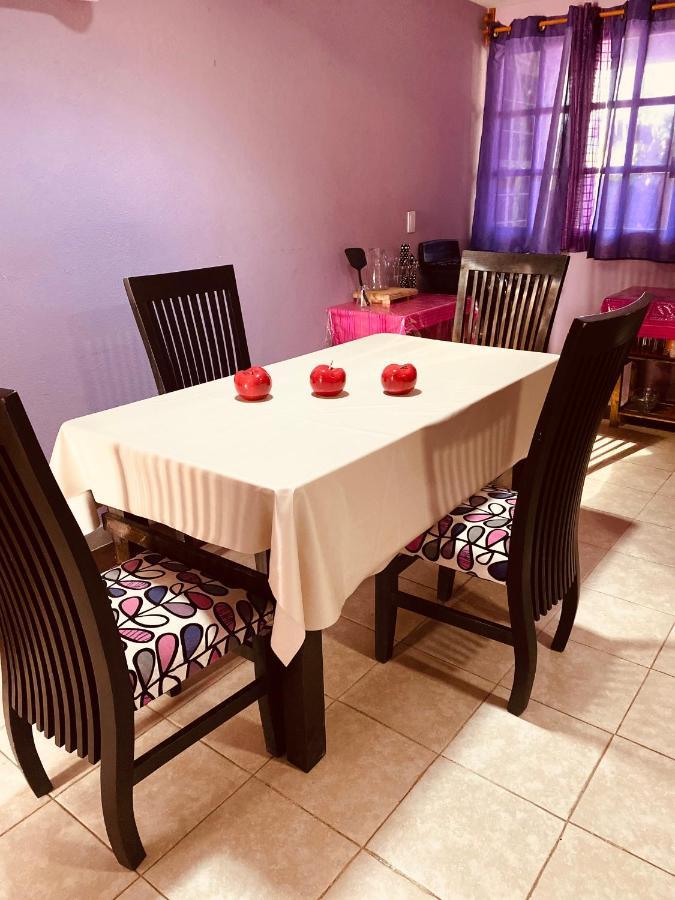 El Paraiso De Zacatlan, Departamento Con Terraza, 10 Pax Eksteriør billede